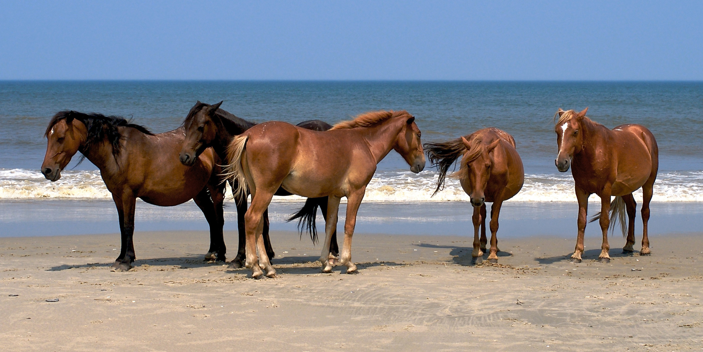 outer banks summer vacation