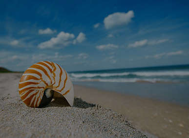 Vacation Rentals Florida