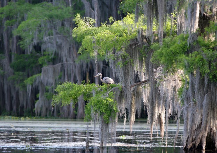 The 3 Best Things To Do in Slidell, Louisiana During Your Vacation